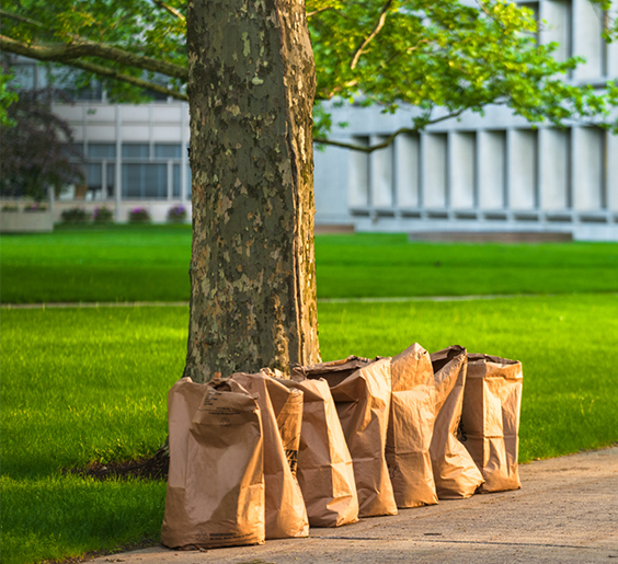 yard waste bags sitting on the curb near a neighborhood street
