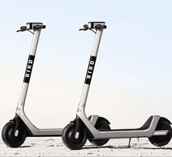 bird scooters web