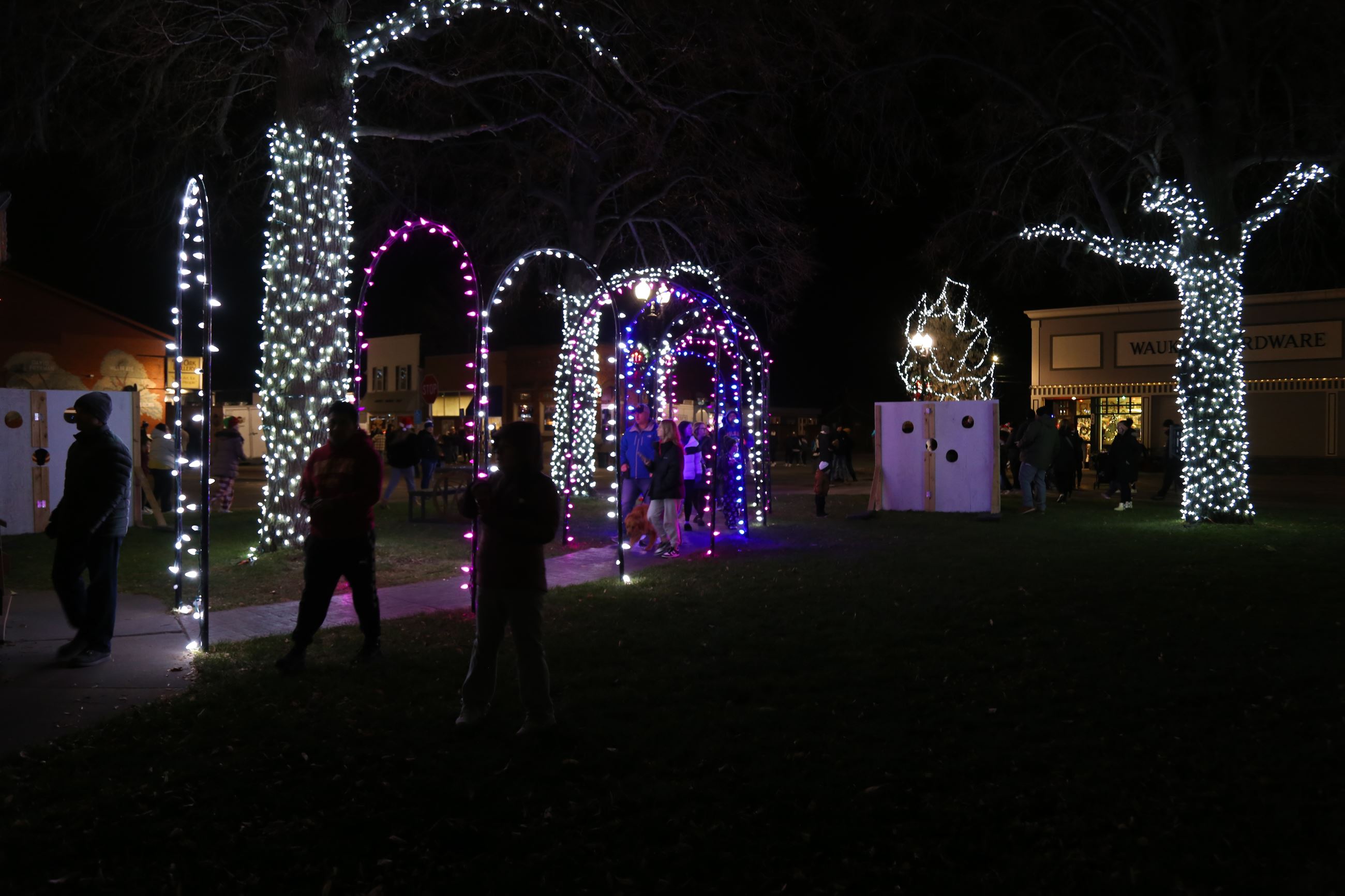 Christmas lights wrapped around trees and arches