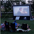 Movies in the Park